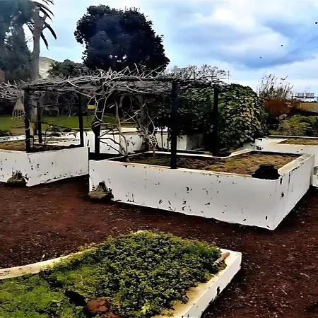 Bom Despacho Apartamento